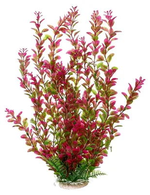 Produktbild von 46 cm Rhodo künstliche Aquariumpflanzen