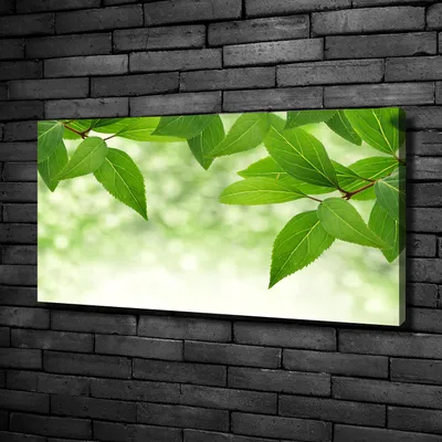 Produktbild von Tulup® Leinwandbild -100x50 cm - Wandkunst - Drucke auf Leinwand - Leinwanddruck  - Blumen & Pflanzen - Grün - Grüne Blätter