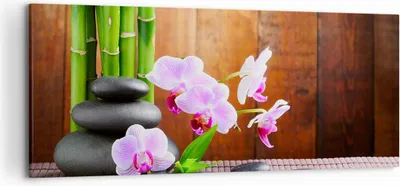 Produktbild von Bild auf Leinwand - Leinwandbild - Bambus Dekoration Blume Orchidee - 120x50cm - Wand Bild - Wanddeko - Leinwanddruck - Bilder - Kunstdruck - Leinwand bilder - Wandkunst - AB120x50-2167