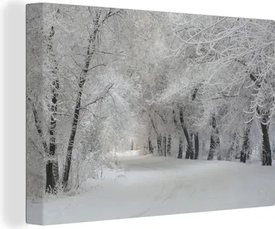Produktbild von MuchoWow® - Leinwandbilder - Bäume - Schnee - Winter, Wandbild, Wanddeko Bilder Wohnzimmer, 120x80 cm