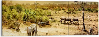 Produktbild von Bild auf Leinwand - Leinwandbild - Safari Tiere - 150x50cm - Wand Bild - Wanddeko - Wandbilder - Leinwanddruck - Bilder - Kunstdruck - Wanddekoration - Leinwand bilder - Wandkunst - CA150x50-3880