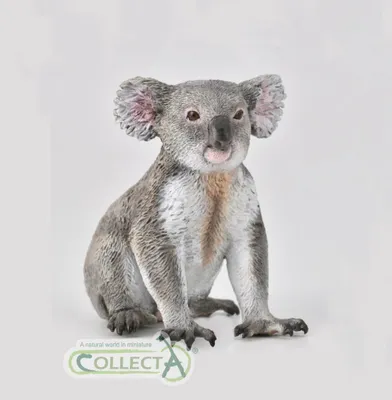 Obrázok produktu pre COLLECTA Koala