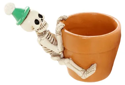 Immagine prodotto di Vaso a forma di teschio per Halloween, ideale per decorazioni