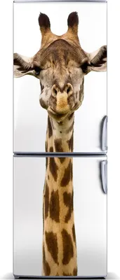 Produktbild von Tulup Kühlschrankdekoration - Magnetmatte - 60 cm x 180 cm - Magnet auf dem Kühlschrank - Giraffe