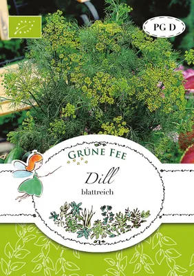 Artikelbild 1 von 'BIO Dill blattreich' aus der Kategorie Dillsamen