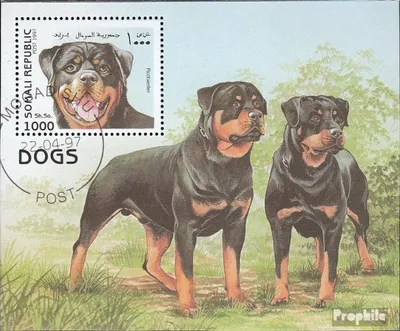 Produktbild von Briefmarken Somali Republic 1997 Mi Block1997H die Legalität dieser Ausg. ist ungeklärt gestempelt Hunde