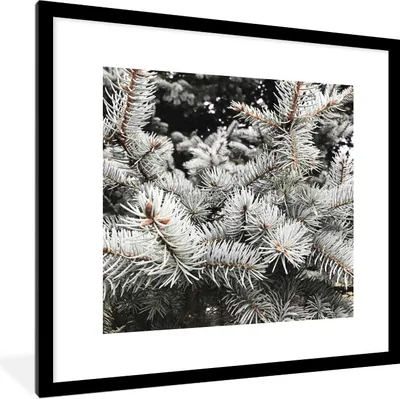 Produktbild von MuchoWow® Gerahmtes Poster Baum - Äste - Winter 40x40 cm - Poster mit Schwarzem Bilderrahmen Wandposter Rahmen Foto Bilder - Poster - Plakat im Rahmen