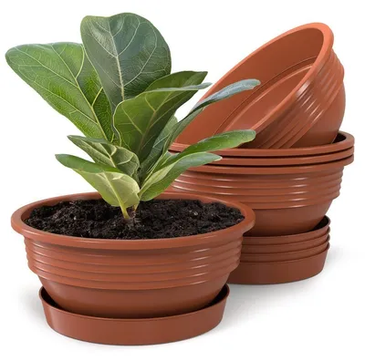 Produktbild von Plastard Blumenschale 5er Set Terrakotta Ø 45 cm mit Untersetzer - Pflanzschale