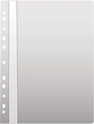 Image de Reliure plastique KARTON P+P avec Euroderm blanc