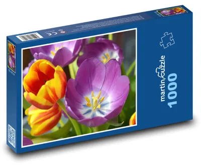 Zdjęcie produktu dla Puzzle 1000 Kolorowe tulipany wiosną - martinpuzzle