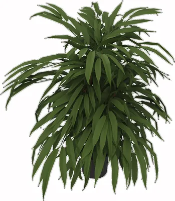 Produktbild von Kunstpflanze Ficus 360Blatt Höhe 800mm Kunststofftopf