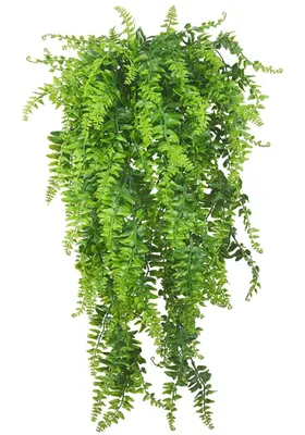 Produktbild von JEWELRY & WATCHES Künstliche Blumen grün Farn Blume hängende Dekoration CODE:KW17 Universal-66_8671_5905884026687