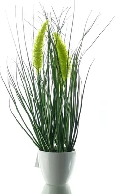 Produktbild von GASPER Lampenputzergras - Penisetum im Topf 37 cm - Kunstpflanzen