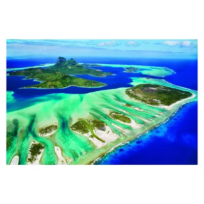 Produktbild von Coral Reef 1000pc