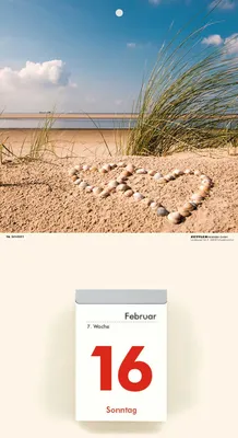 Immagine prodotto di ZETTLER 609773 Copertina posteriore del calendario - 18 x 33 cm, assortita in 2 colori