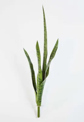 Produktbild von artplants.de Künstliche Sansevieria - Bogenhanf auf Steckstab, grün, 80cm - Kunstpflanze - Dekopflanze