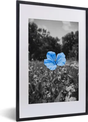 Produktbild von MuchoWow® MuchoWow® Gerahmtes Poster Blumen - Schwarz - Weiß - Blau 40x60 cm - Poster mit zchwarzem Bilderrahmen - Poster in Rahmen