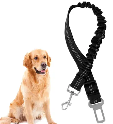 Produktbild von Hundesicherheitsgurt fürs Auto, verstellbar, 55-75 cm, mit Ruckdämpfung