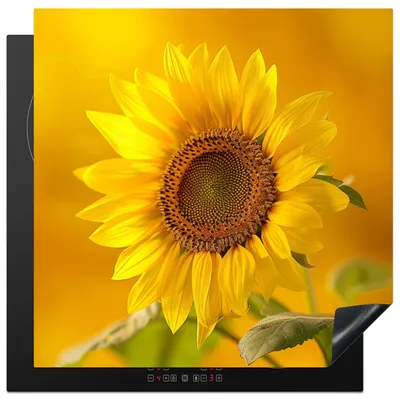 Produktbild von KitchenYeah© Herdabdeckplatte Sonnenblume - Blume - Gelb , 78x78cm, Küche Deko, Glaskeramikkochfeld Herdabdeckung, Abdeckplatte fùr Kochfeld