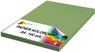 Image de Papier couleur A4 120g vert armée 100 feuilles