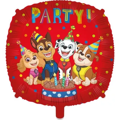 Produktbild von Paw Patrol Folienballon mit Gewicht, 46cm