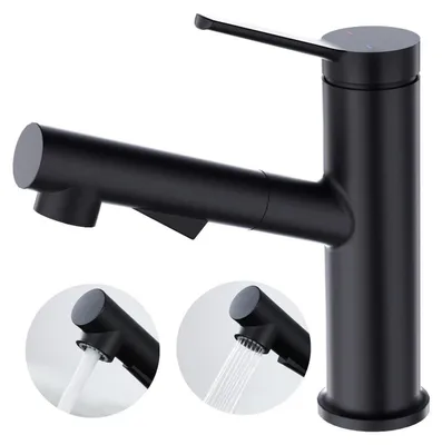 Image de Robinet de lavabo, monocommande, extractible, en acier inoxydable, finition noire mate