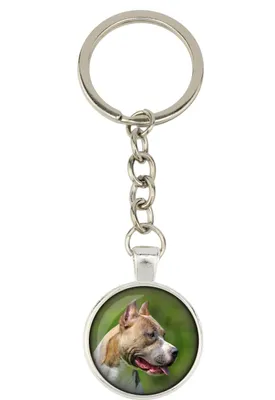 Image de Pitbull - porte-clés avec votre photo, décoration pour clés, pendentif pour sac à main de la marque Art-Dog