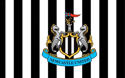 Immagine prodotto di Newcastle United FC - Bandiera a strisce BS4460 (Taglia unica) (Nero/Bianco/Blu)