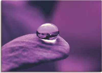 Produktbild von ARTland Leinwandbild Amethyst Größe: 40x30 cm