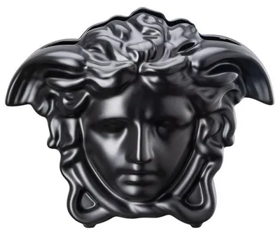 Obrázek produktu pro Rosenthal 14493-105000-26021, Porcelán, Medusa Grande, 210 mm