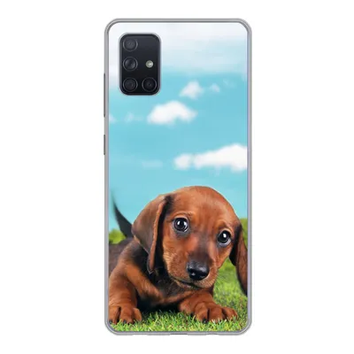 Produktbild von MuchoWow® Handyhülle Schutzhülle Hülle für Samsung Galaxy A71 Schöner Himmel über einem niedlichen Dackelwelpen Silikon Softcase Handy Hülle - Kartenbesitzer