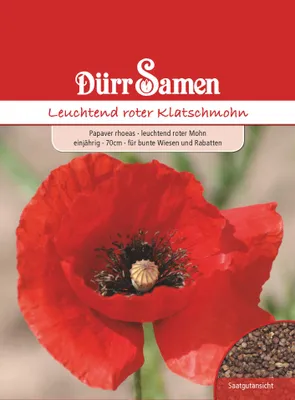 Produktbild von Leuchtend roter Klatschmohn | Klatschmohnsamen von Dürr Samen