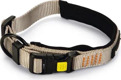 Immagine prodotto di Beeztees Parinca Premium - Collare per cani - Nylon - Grigio chiaro - 35-40 cm