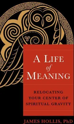 Immagine prodotto di A Life of Meaning