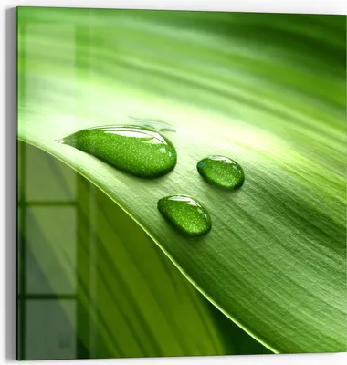 Produktbild von DEQORI Glasbild Echtglas 30x30 cm 'Tropfen der Reinheit' Wandbild Bild modern Deko