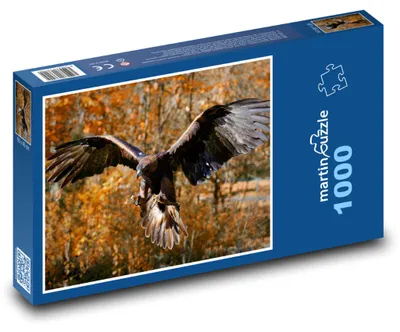 Produktbild von Puzzle 1000 Adler im Flug - martinpuzzle