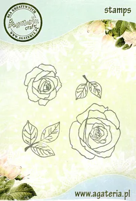 Image de Tampon - Roses + feuilles 2 - Agateria