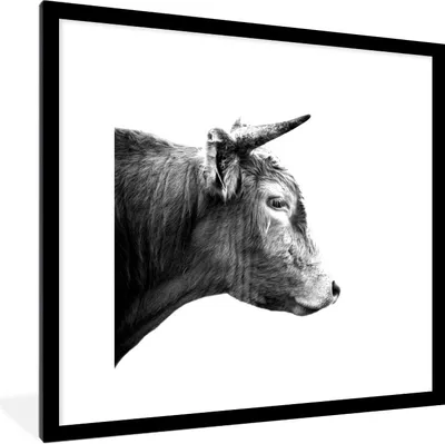 Produktbild von MuchoWow® Gerahmtes Poster Schottischer Highlander - Horn - Schwarz - Weiß 40x40 cm - Poster mit Schwarzem Bilderrahmen Wandposter Rahmen Foto Bilder - Poster - Plakat im Rahmen