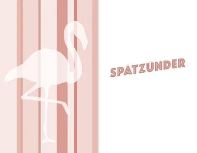 Produktbild von Mein erster Schwultag