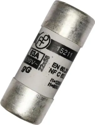 Image de Fusible Mt2 100a 22,2x58mm
