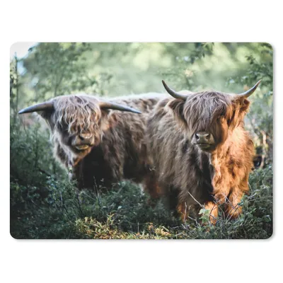 Produktbild von MuchoWow® Mauspad Mousepad Schottische Highlander - Wald - Tiere 23x19 cm - Mousepads - Maus Mat - Pad - Mausunterlage - Schreibtischunterlage - Mauspad