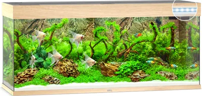 Produktbild von Aquarium JUWEL Rio 240 mit LED-Beleuchtung, Pumpe, Filter, Heizer ohne Unterschrank helles Holz