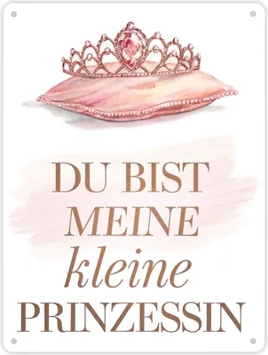 Produktbild von Meine kleine Prinzessin Metallschild XL in 21x28 cm Tiara auf Kissen