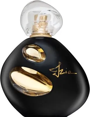 A black perfume bottle with gold accents and a clear cap.