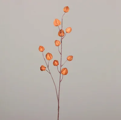 Produktbild von Kunstblume Physialis 90 cm brown