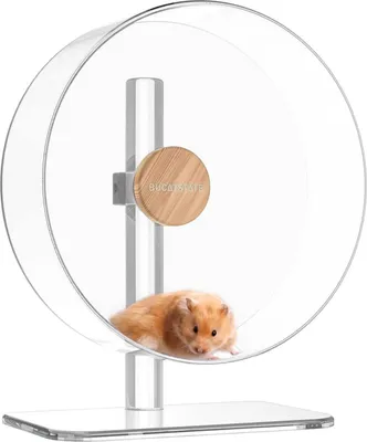 Produktbild von Laufrad Hamster 32cm Acrylic Leise Transparent Verstellbare Basis
