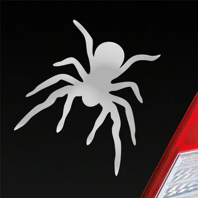 Produktbild von Auto Aufkleber Spinne Spider giftig Tier Ekel 10x10,5 cm Silber Sticker Heckscheibenaufkleber