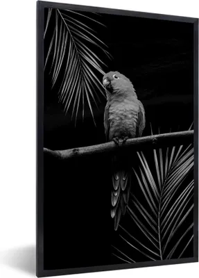 Produktbild von MuchoWow® Gerahmtes Poster Ein Papagei sitzt auf einem Zweig vor einem schwarzen Hintergrund - schwarz und weiß 40x60 cm - Poster mit Schwarzem Bilderrahmen Wandposter Rahmen Foto Bilder - Papierdruck - Wandbilder