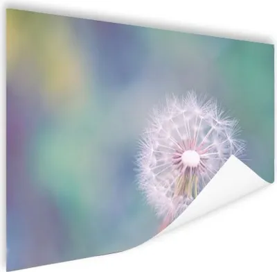 Produktbild von MuchoWow® Poster Fotodruck Löwenzahn 180x120 cm - Fotoplakat