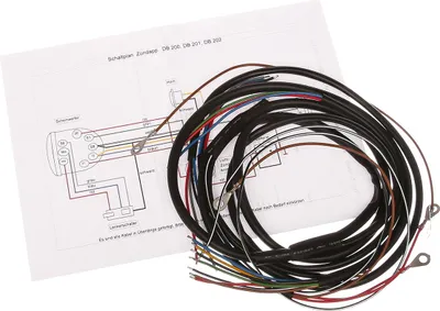 Image de Faisceau de câblage adapté à ZundApp DB 200 sans frein. +Shiftpl.